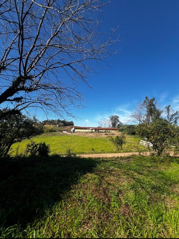 Terreno, 1000 m² - Foto 3