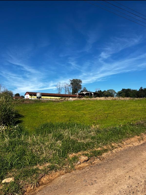 Terreno, 1000 m² - Foto 5