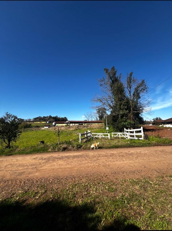 Terreno, 1000 m² - Foto 13