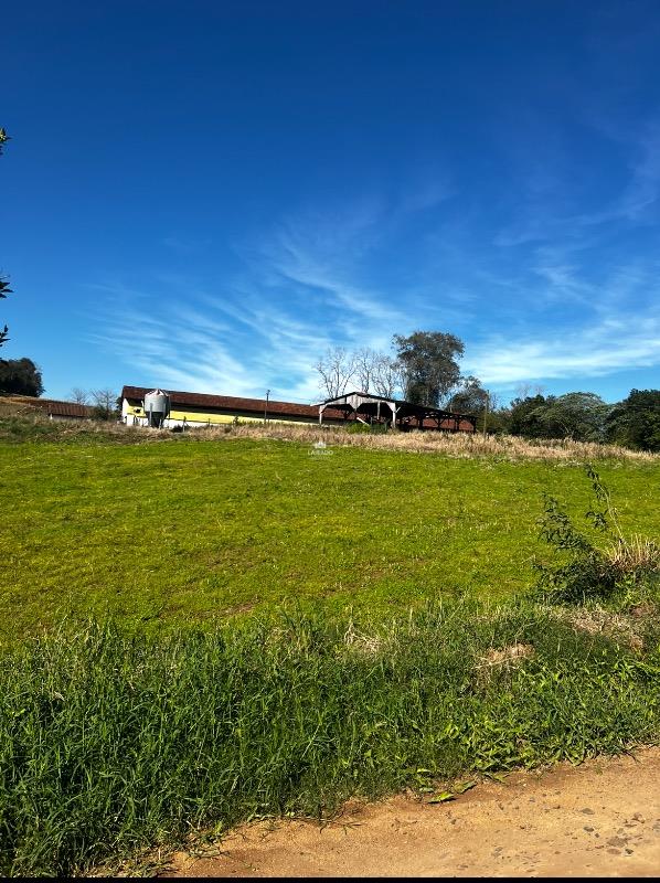 Terreno, 1000 m² - Foto 6