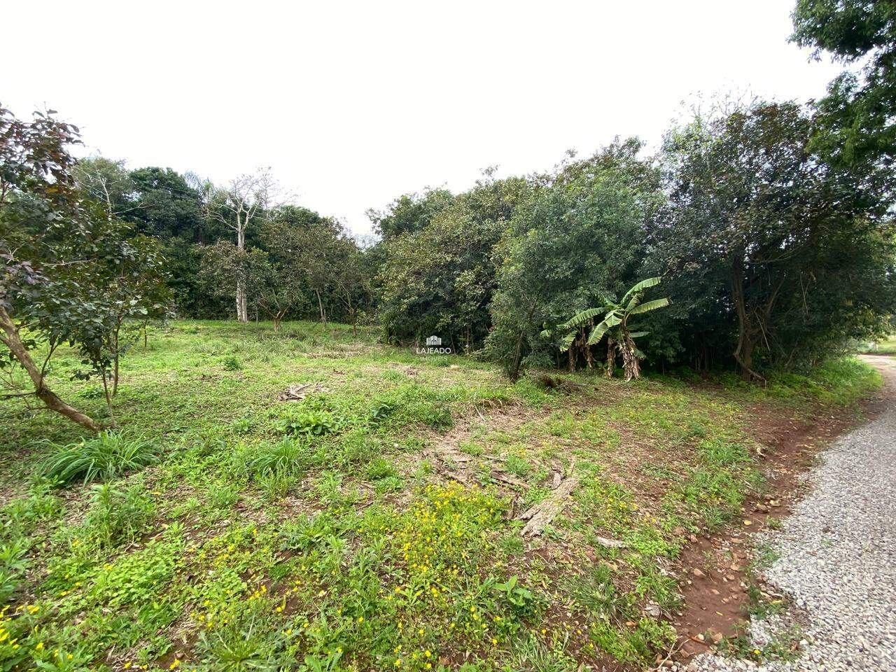 Sítio, 2 quartos, 2670 m² - Foto 15