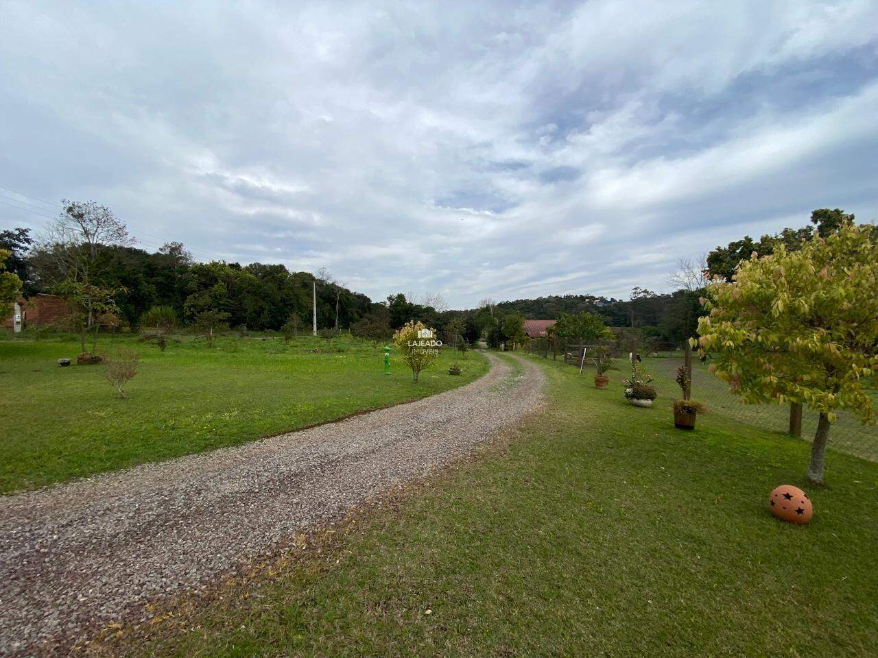 Sítio, 2 quartos, 2670 m² - Foto 6