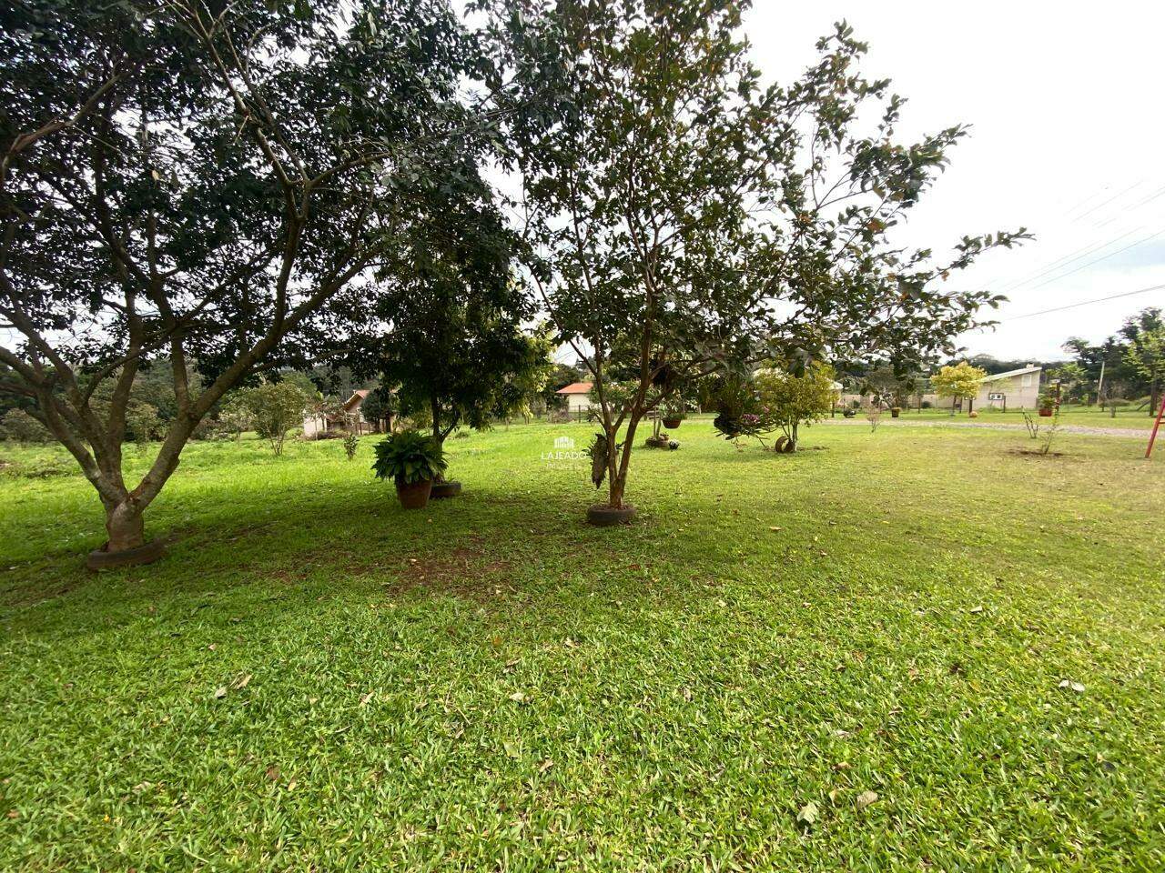 Sítio, 2 quartos, 2670 m² - Foto 12