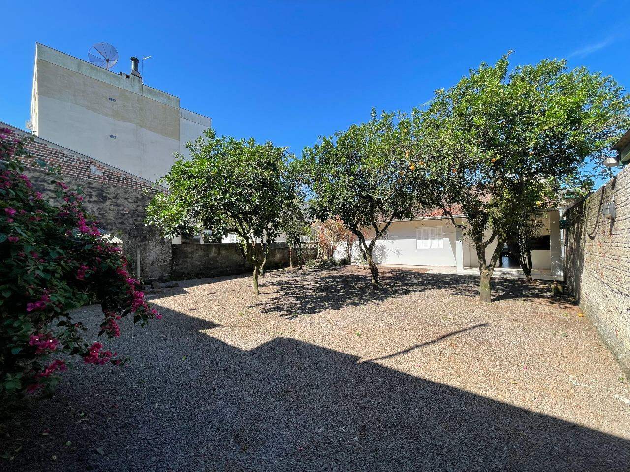 Casa para aluguel no Moinhos: 