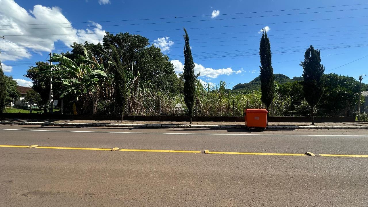 Terreno, 6 hectares - Foto 5