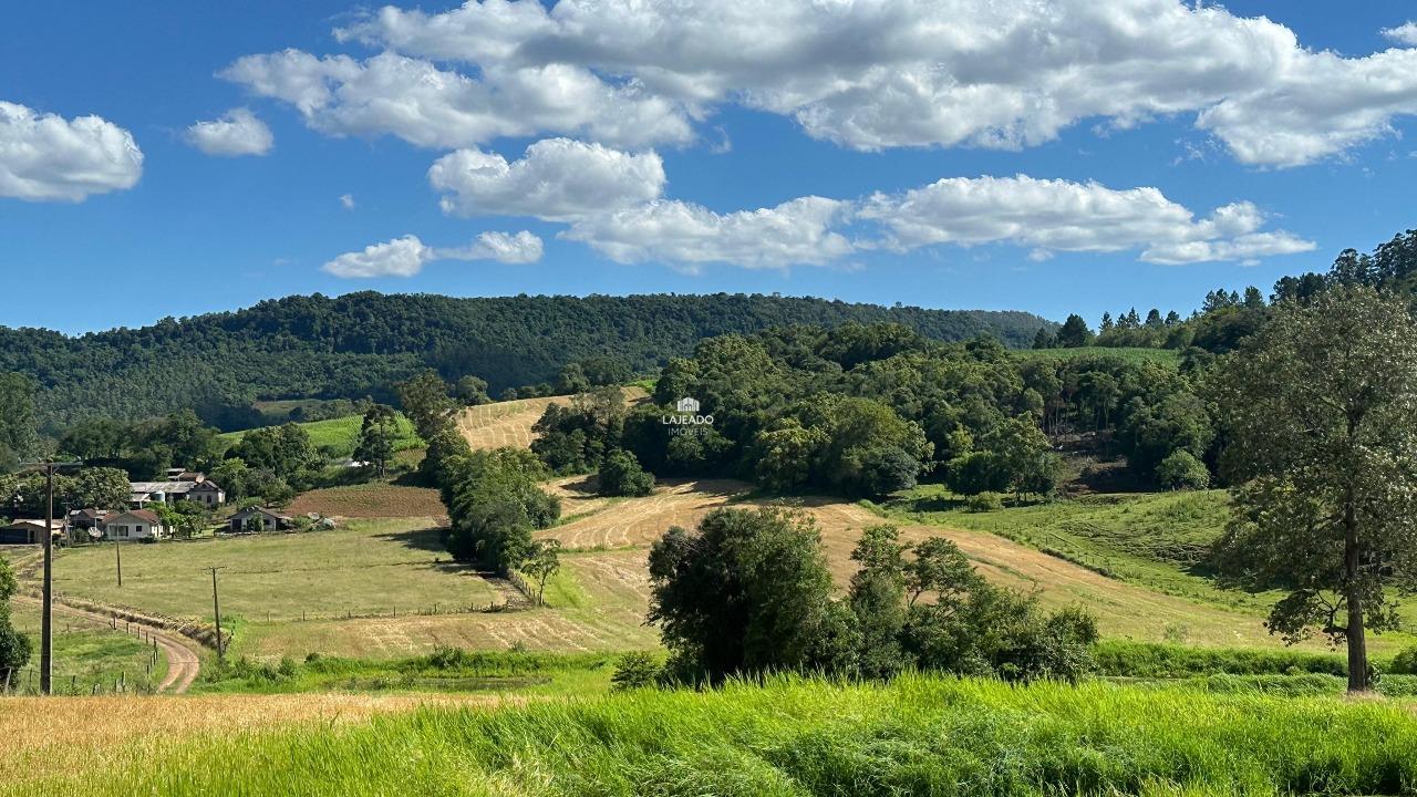 Terreno, 6 hectares - Foto 3