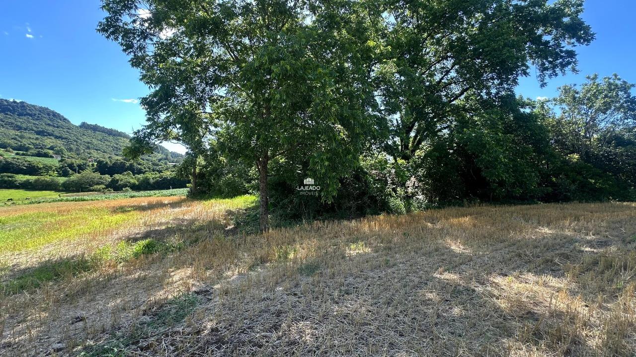 Terreno, 6 hectares - Foto 4