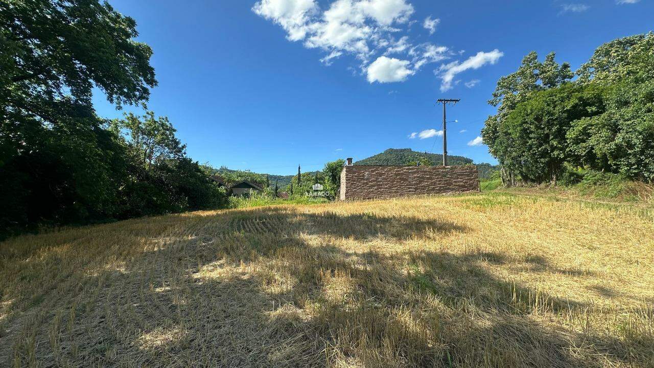 Terreno, 6 hectares - Foto 6