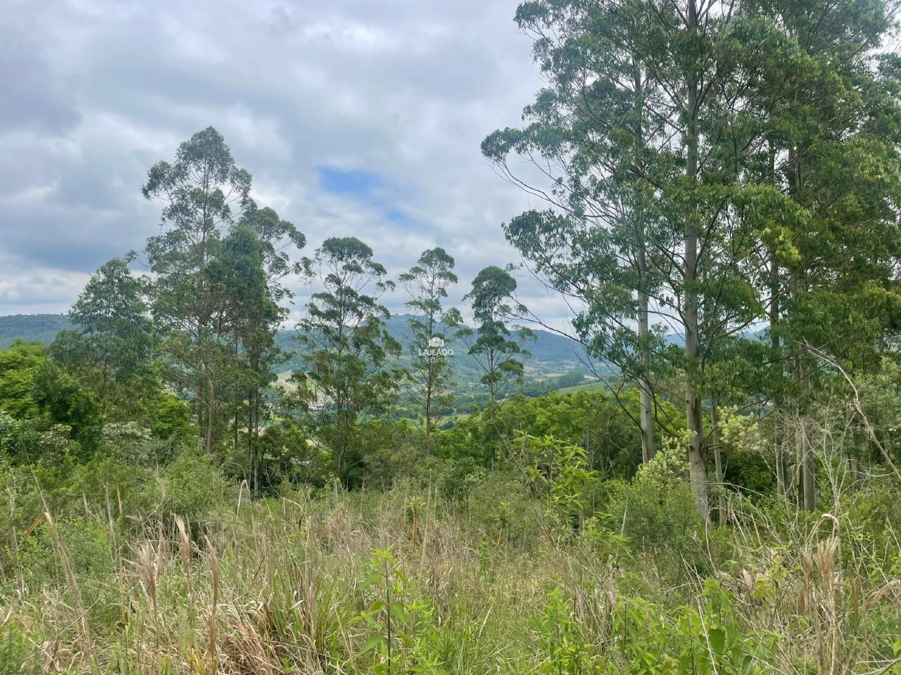 Terreno, 30000 m² - Foto 3