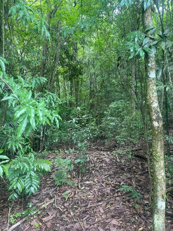 Terreno, 30000 m² - Foto 5