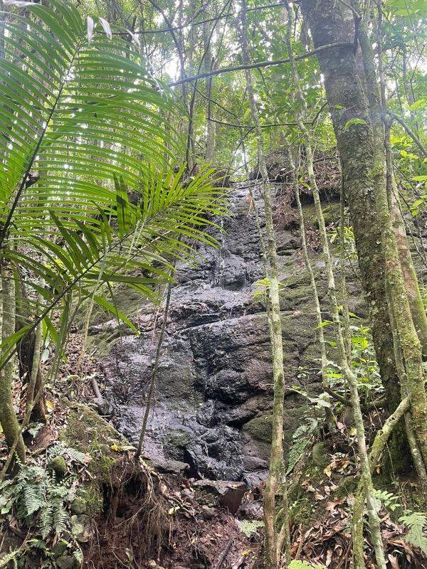 Terreno, 30000 m² - Foto 6