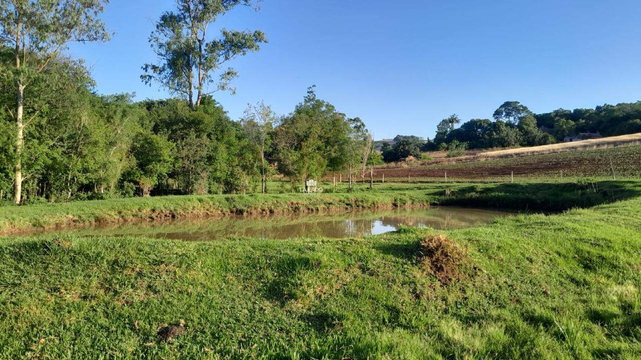 Sítio, 5 quartos, 14 hectares - Foto 23