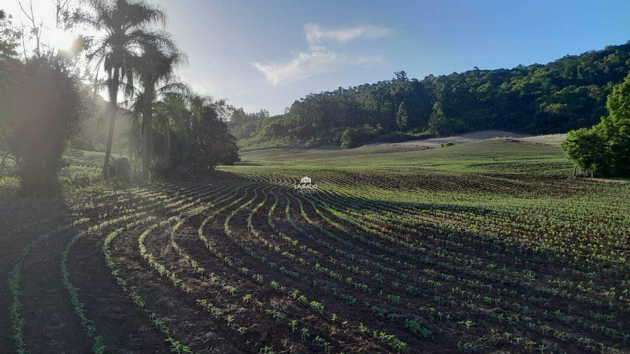 Sítio, 5 quartos, 14 hectares - Foto 21