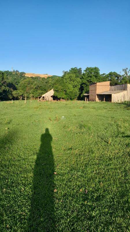 Sítio, 5 quartos, 14 hectares - Foto 9