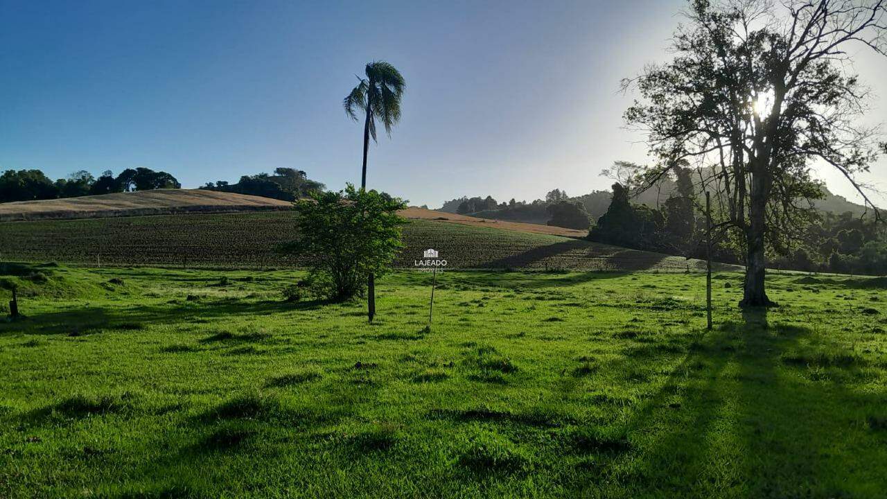 Sítio, 5 quartos, 14 hectares - Foto 11