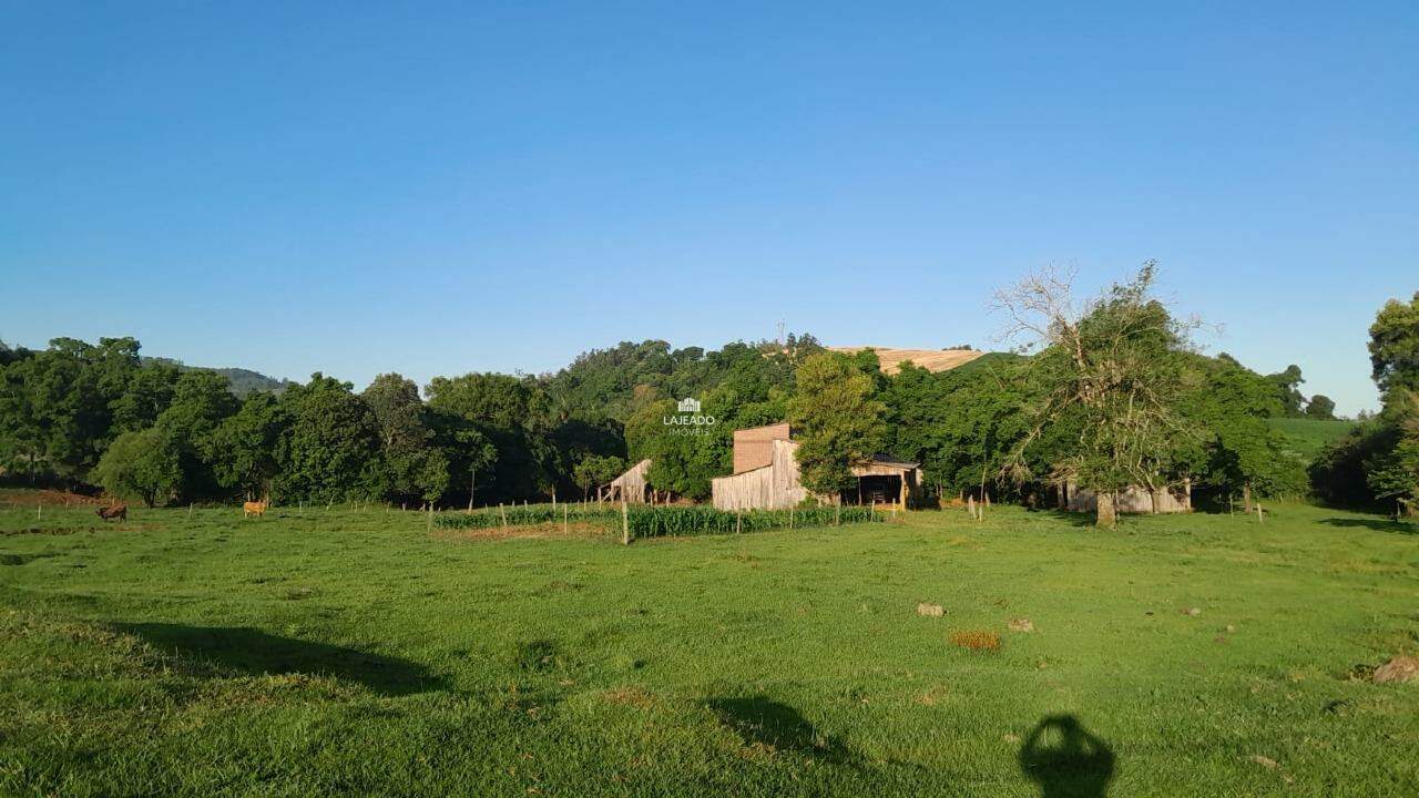 Sítio, 5 quartos, 14 hectares - Foto 14