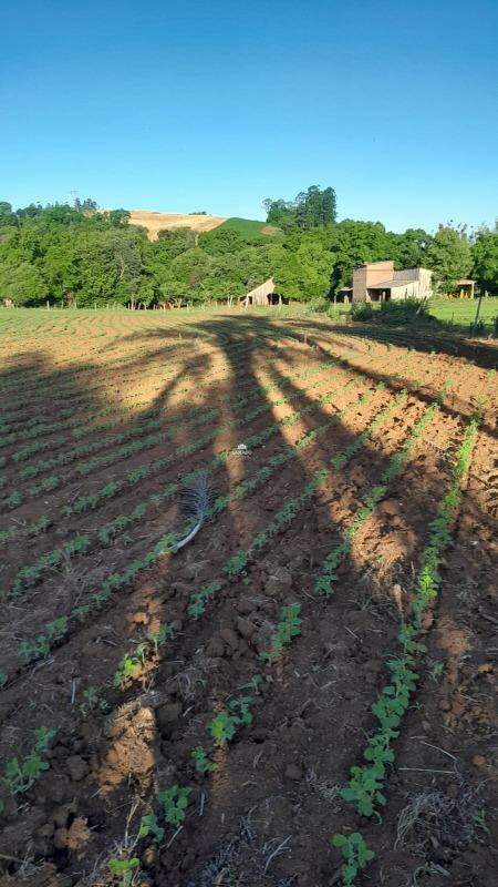 Sítio, 5 quartos, 14 hectares - Foto 20