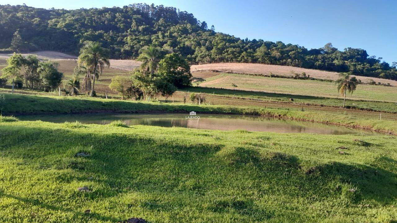 Sítio, 5 quartos, 14 hectares - Foto 18