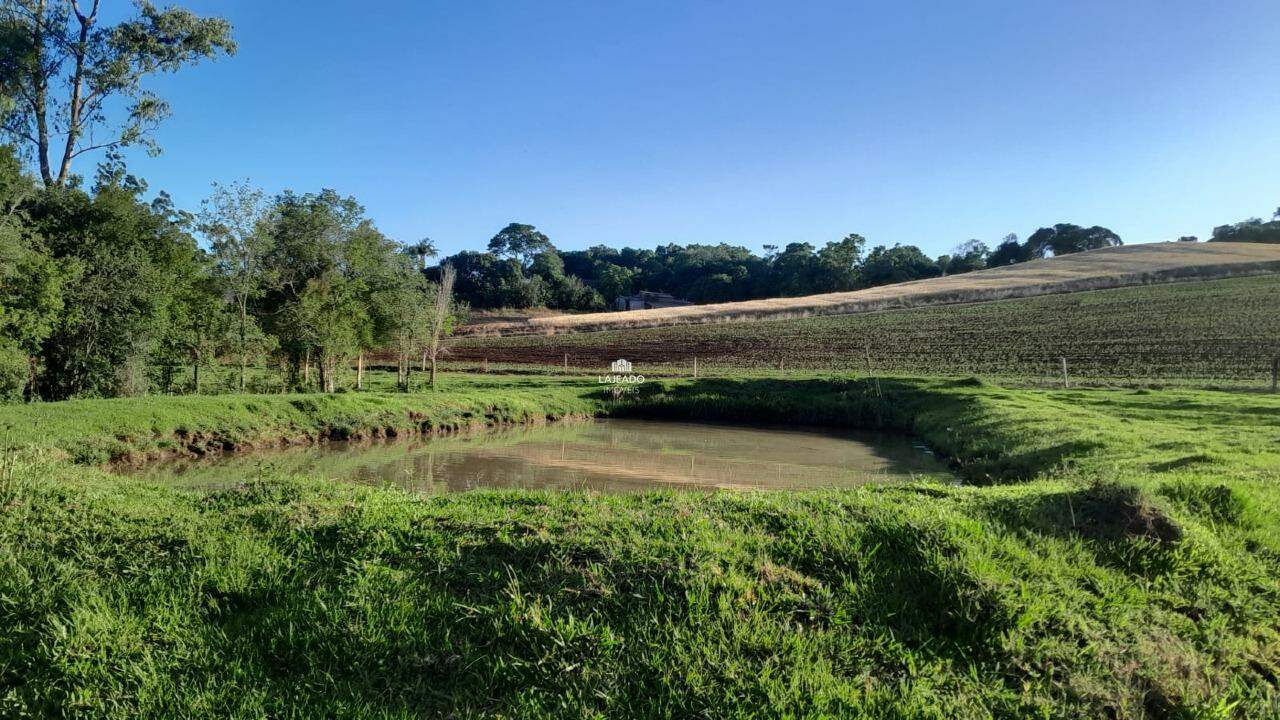 Sítio, 5 quartos, 14 hectares - Foto 17