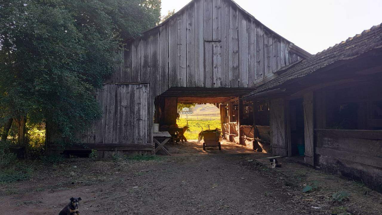 Sítio, 5 quartos, 14 hectares - Foto 7