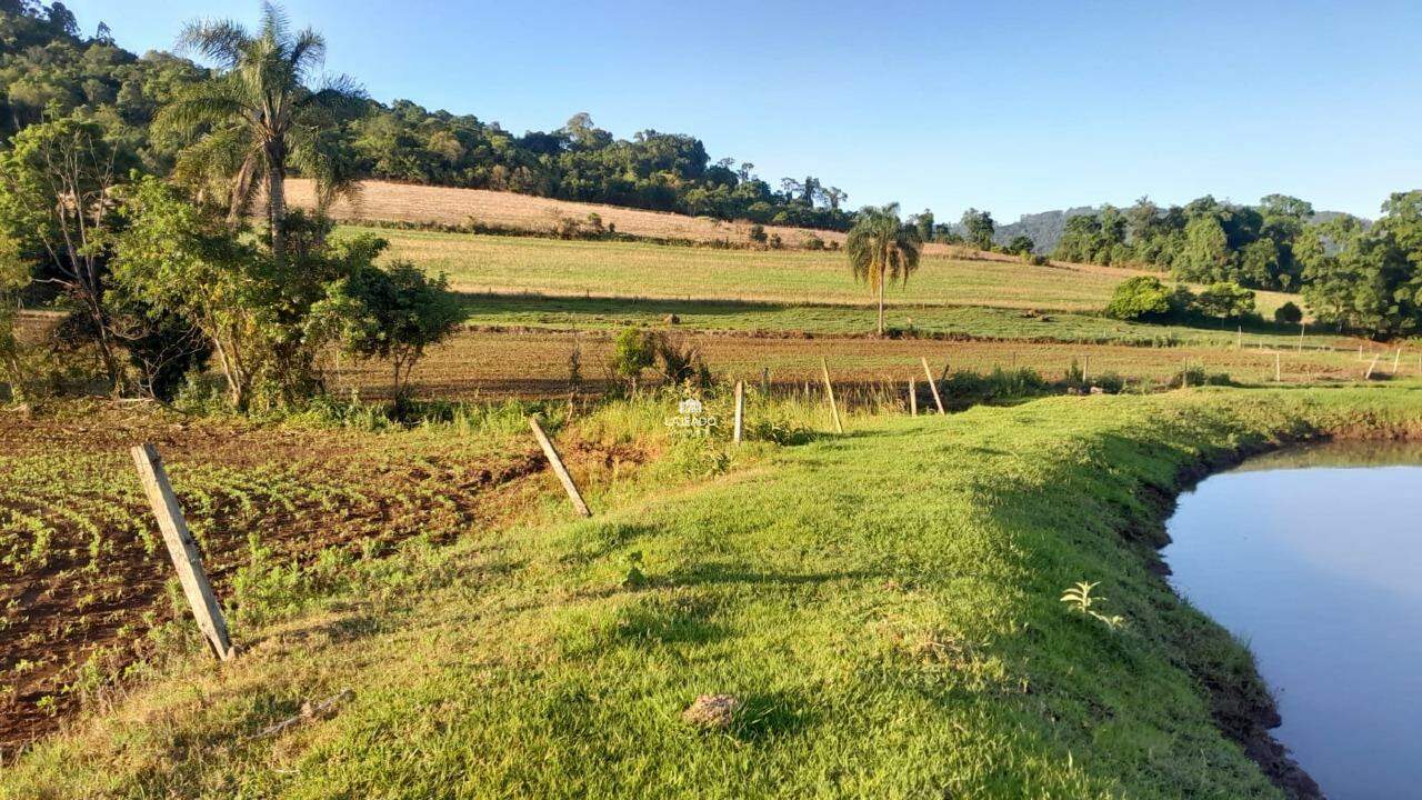 Sítio, 5 quartos, 14 hectares - Foto 22