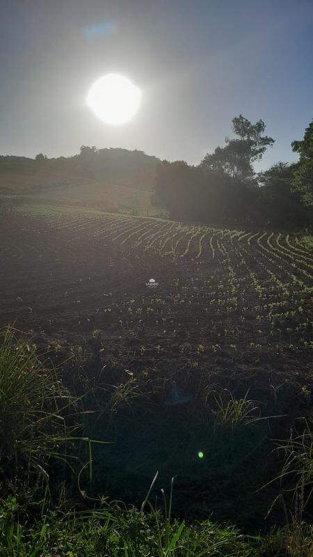 Sítio, 5 quartos, 14 hectares - Foto 10