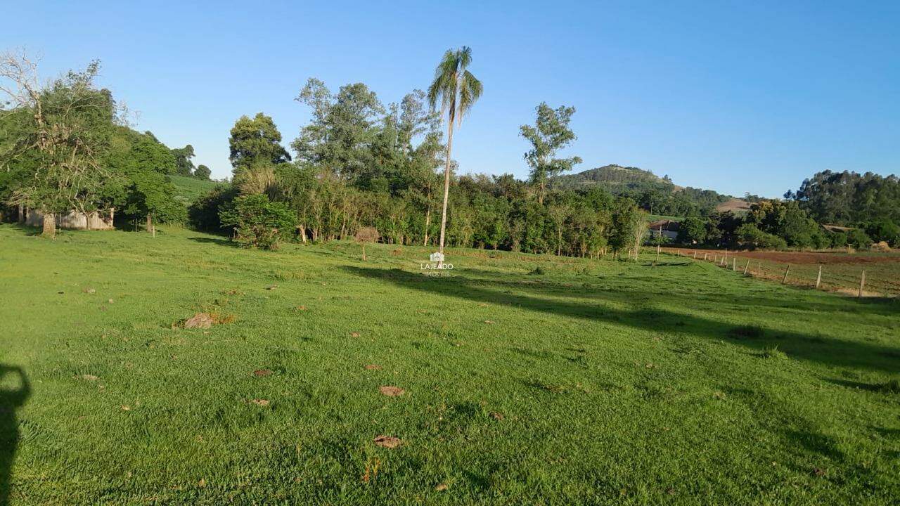 Sítio, 5 quartos, 14 hectares - Foto 8