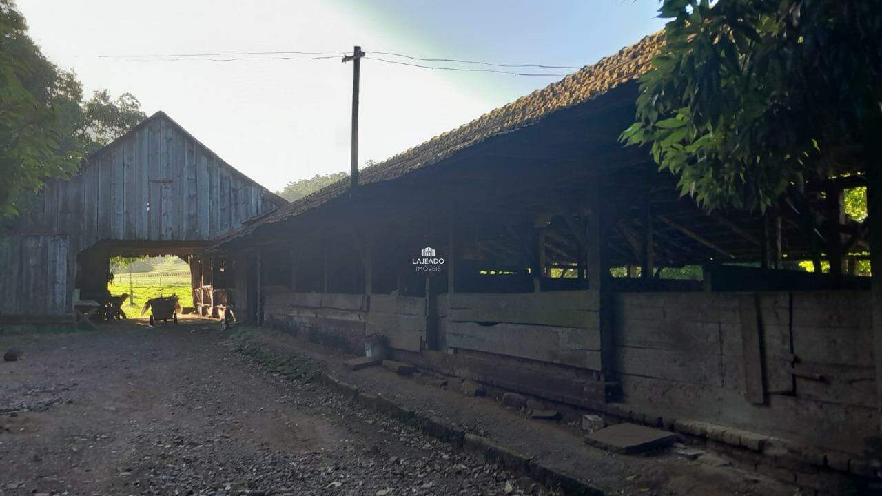 Sítio, 5 quartos, 14 hectares - Foto 6