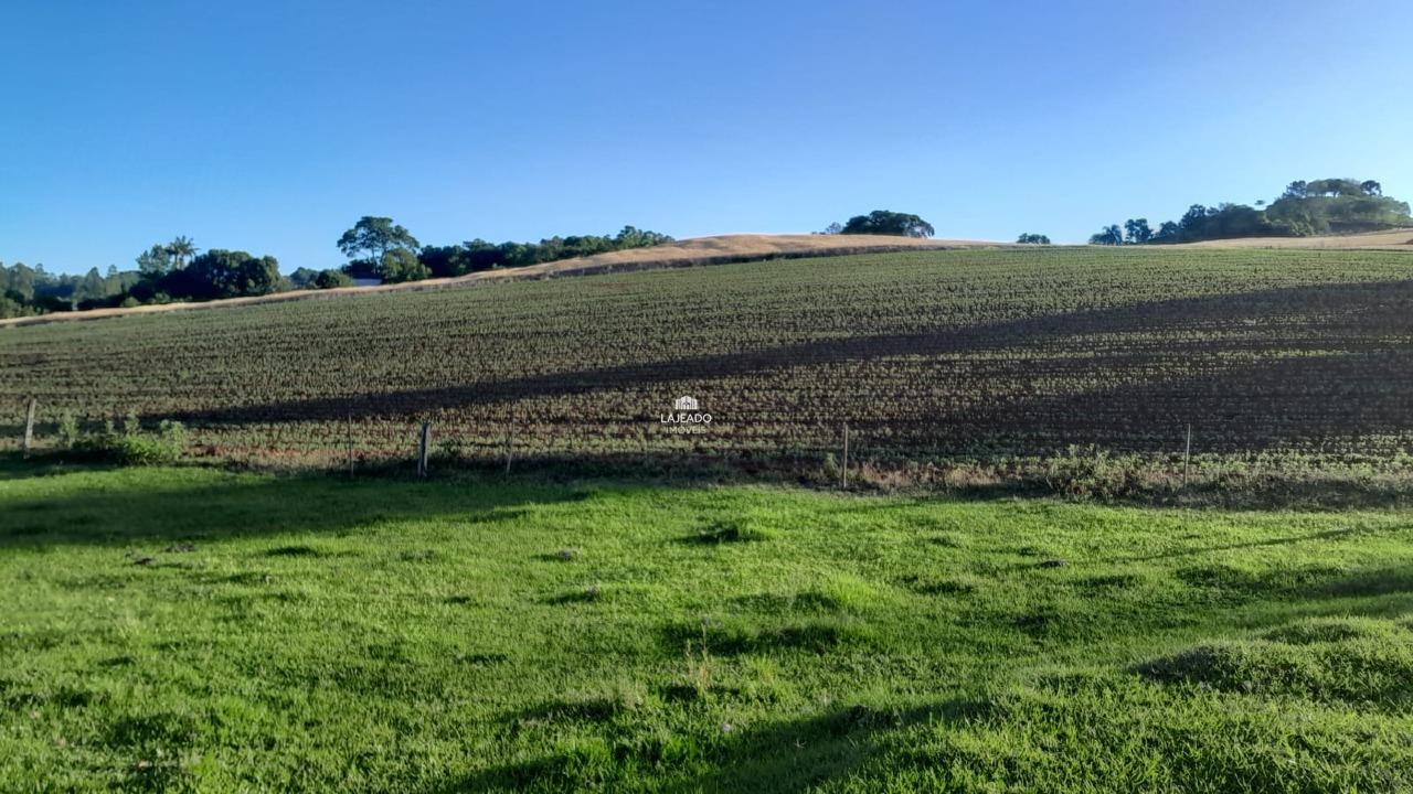 Sítio, 5 quartos, 14 hectares - Foto 5