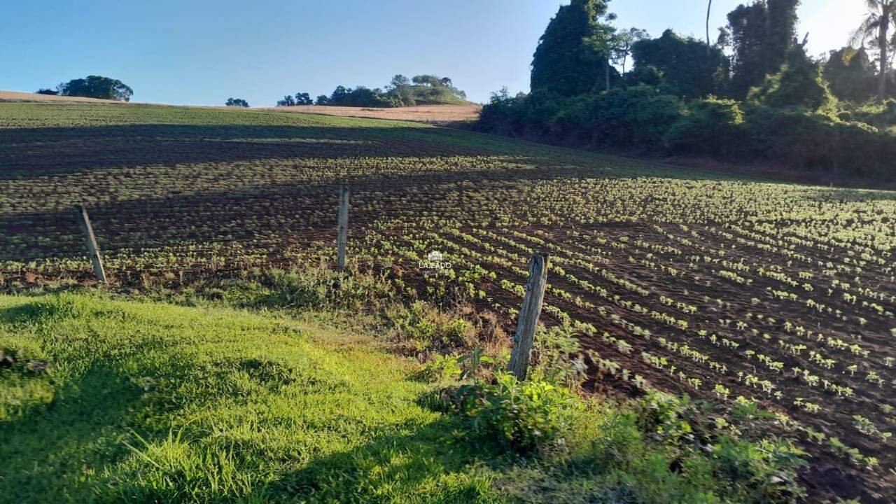 Sítio, 5 quartos, 14 hectares - Foto 13