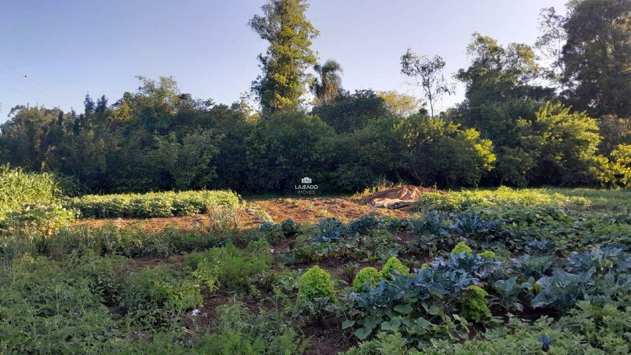 Sítio, 5 quartos, 14 hectares - Foto 19