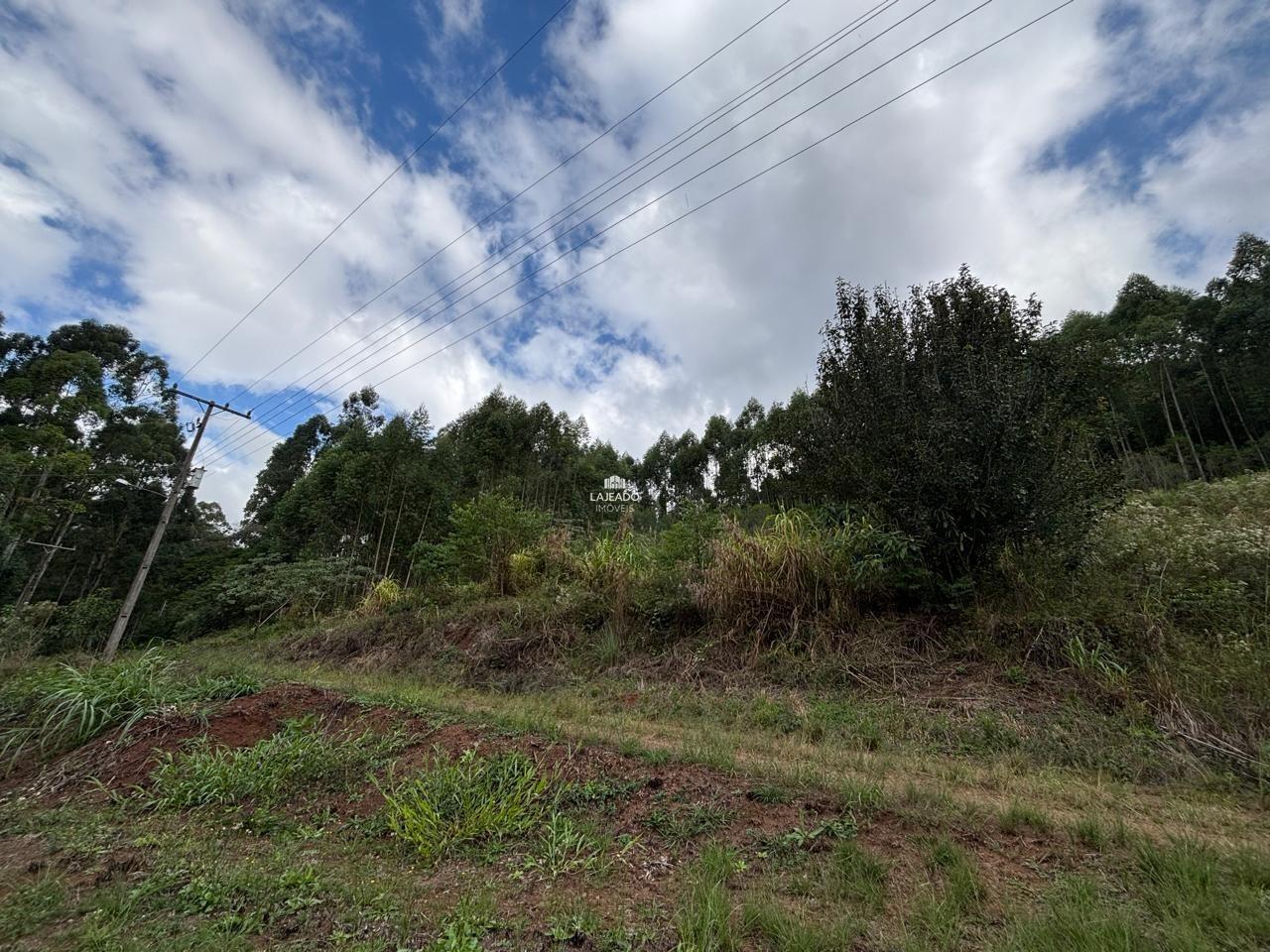 Sítio, 3 quartos, 100900 m² - Foto 7