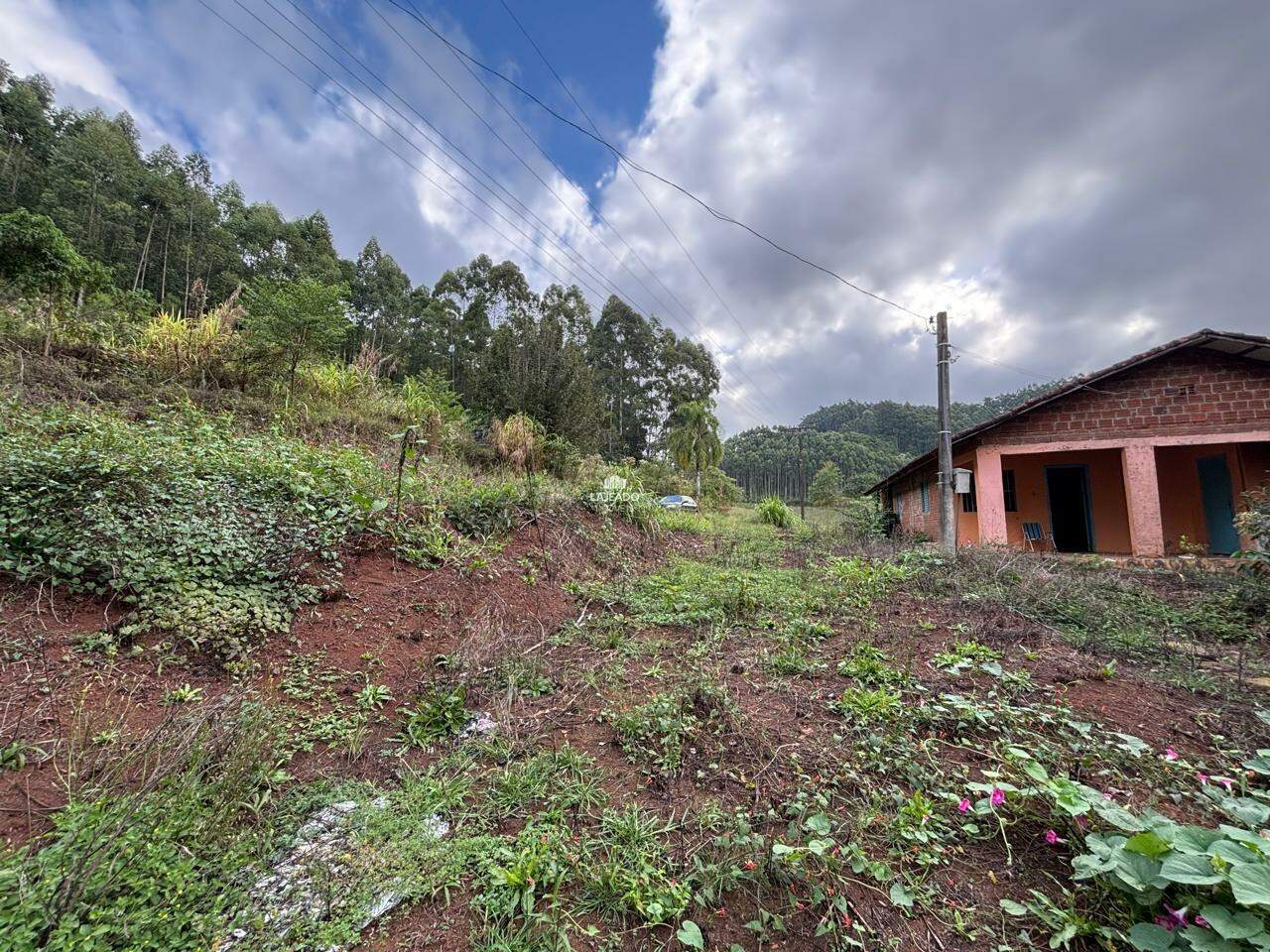 Sítio, 3 quartos, 100900 m² - Foto 3