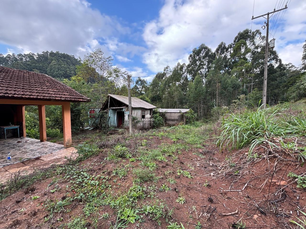 Sítio, 3 quartos, 100900 m² - Foto 6