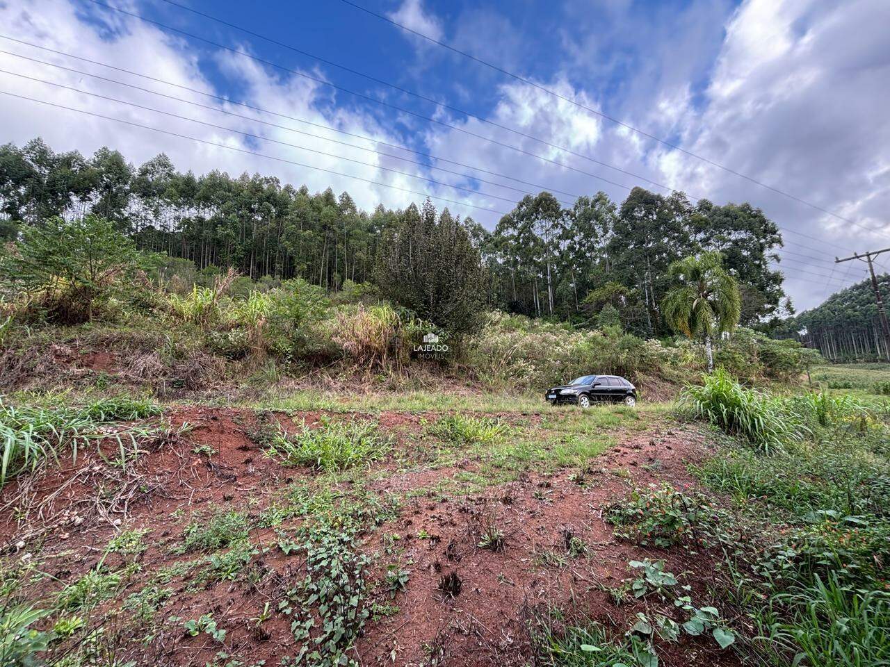 Sítio, 3 quartos, 100900 m² - Foto 1