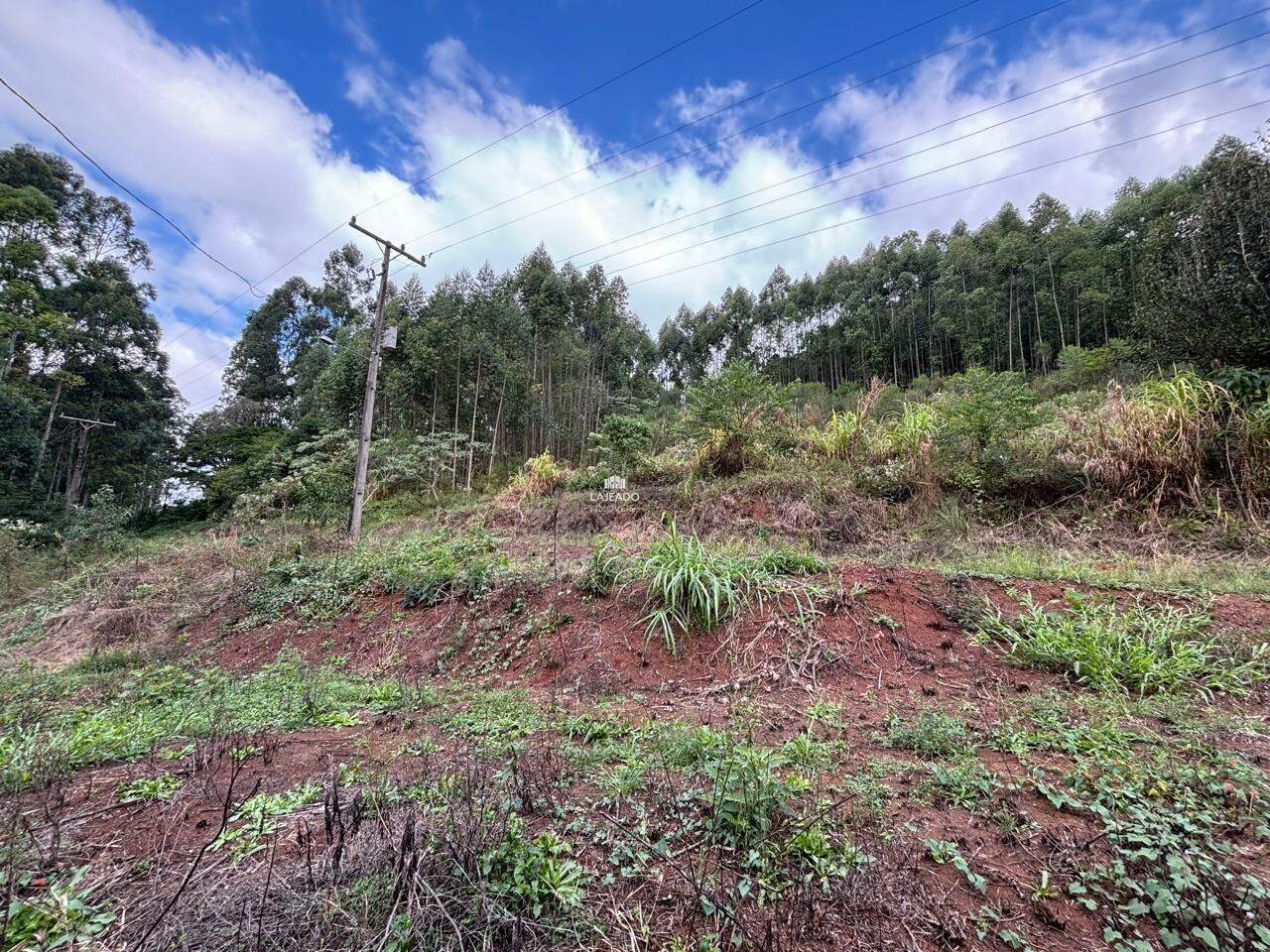 Sítio, 3 quartos, 100900 m² - Foto 5