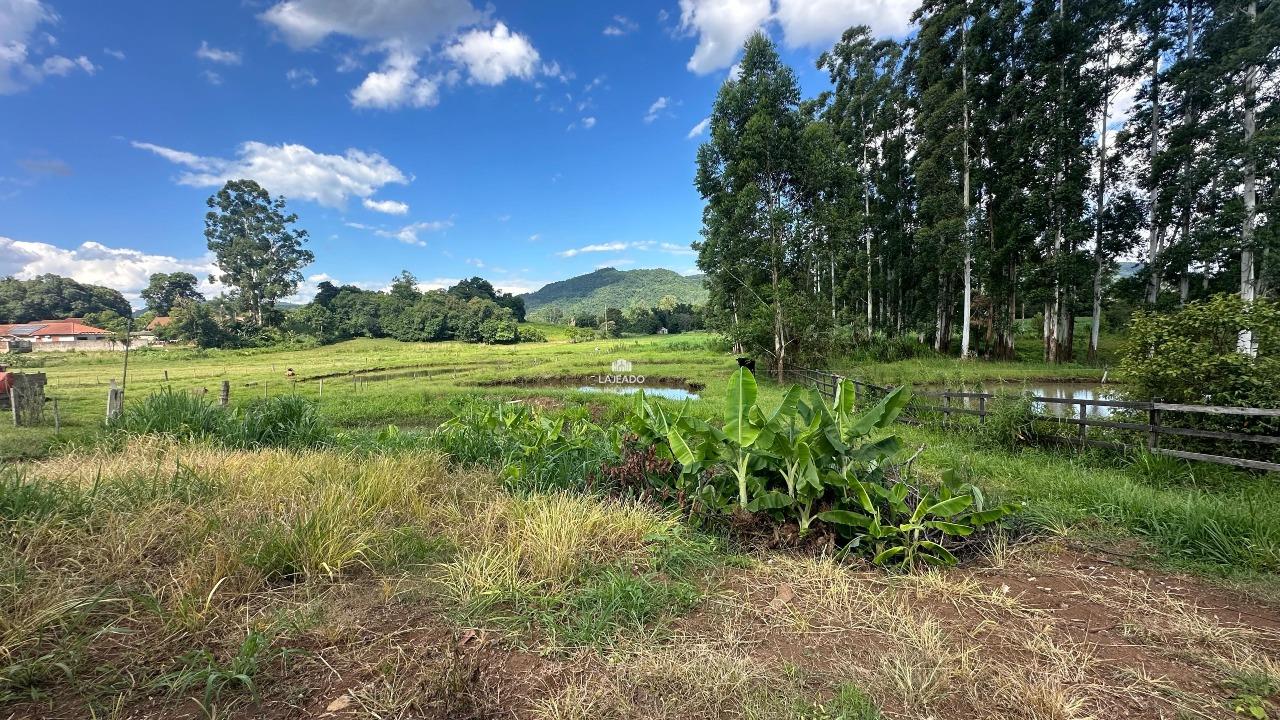 Terreno, 1 hectares - Foto 5