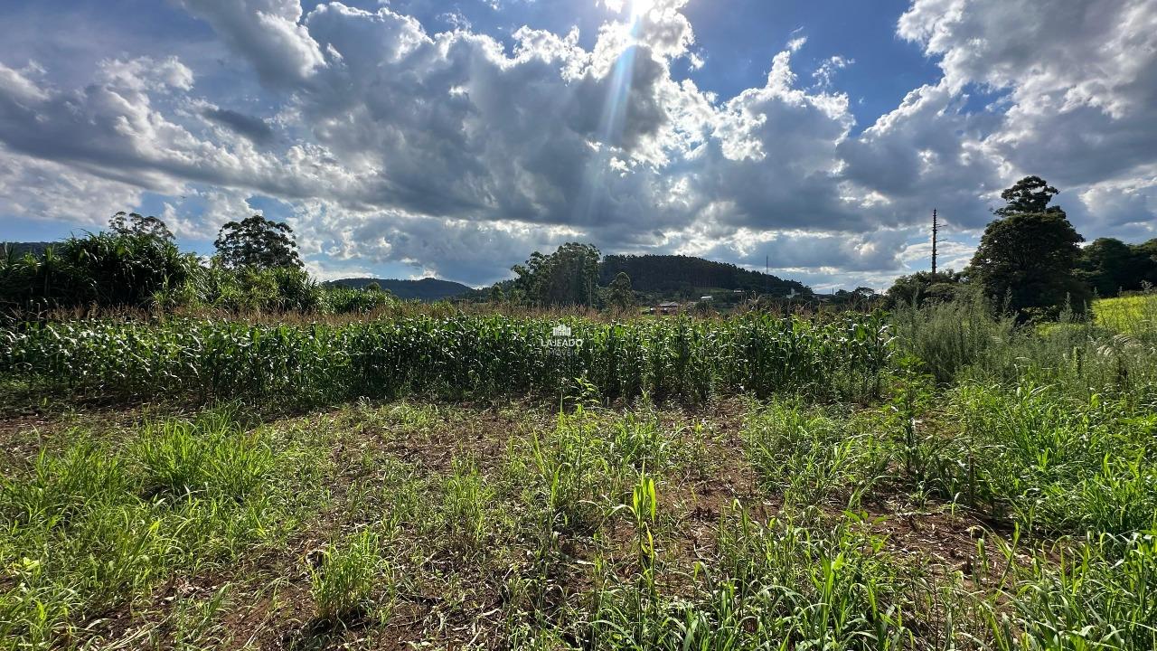 Terreno, 1 hectares - Foto 10