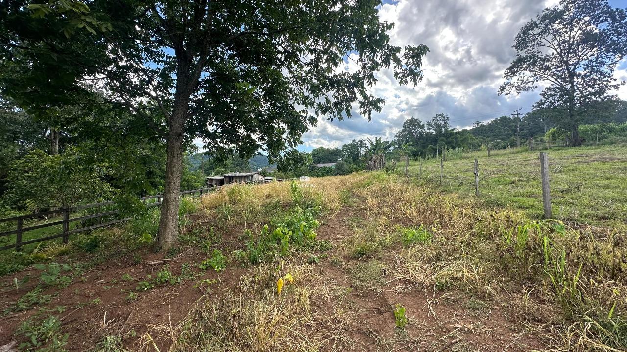 Terreno, 1 hectares - Foto 4