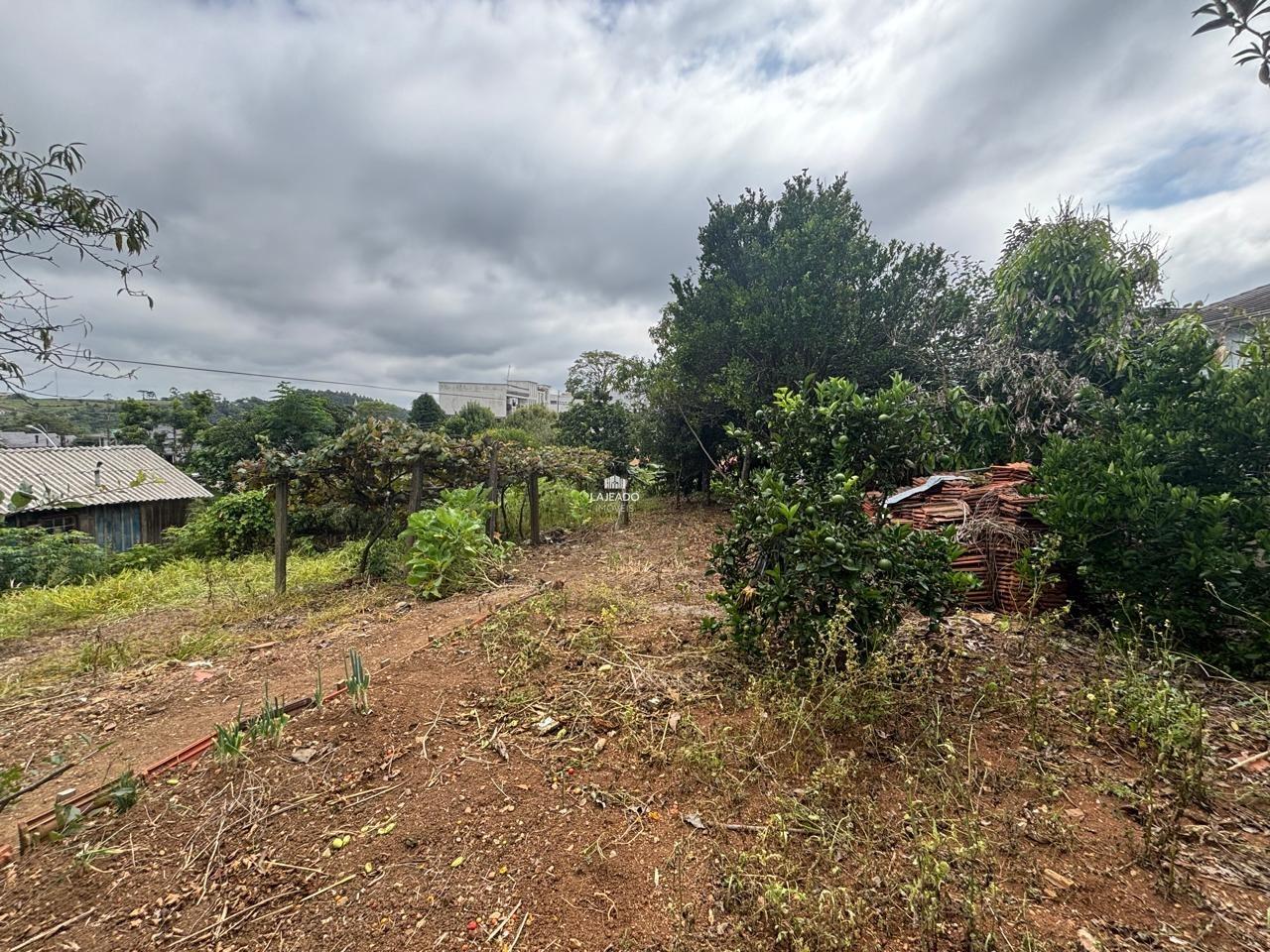 Casa, 3 quartos, 126 m² - Foto 15