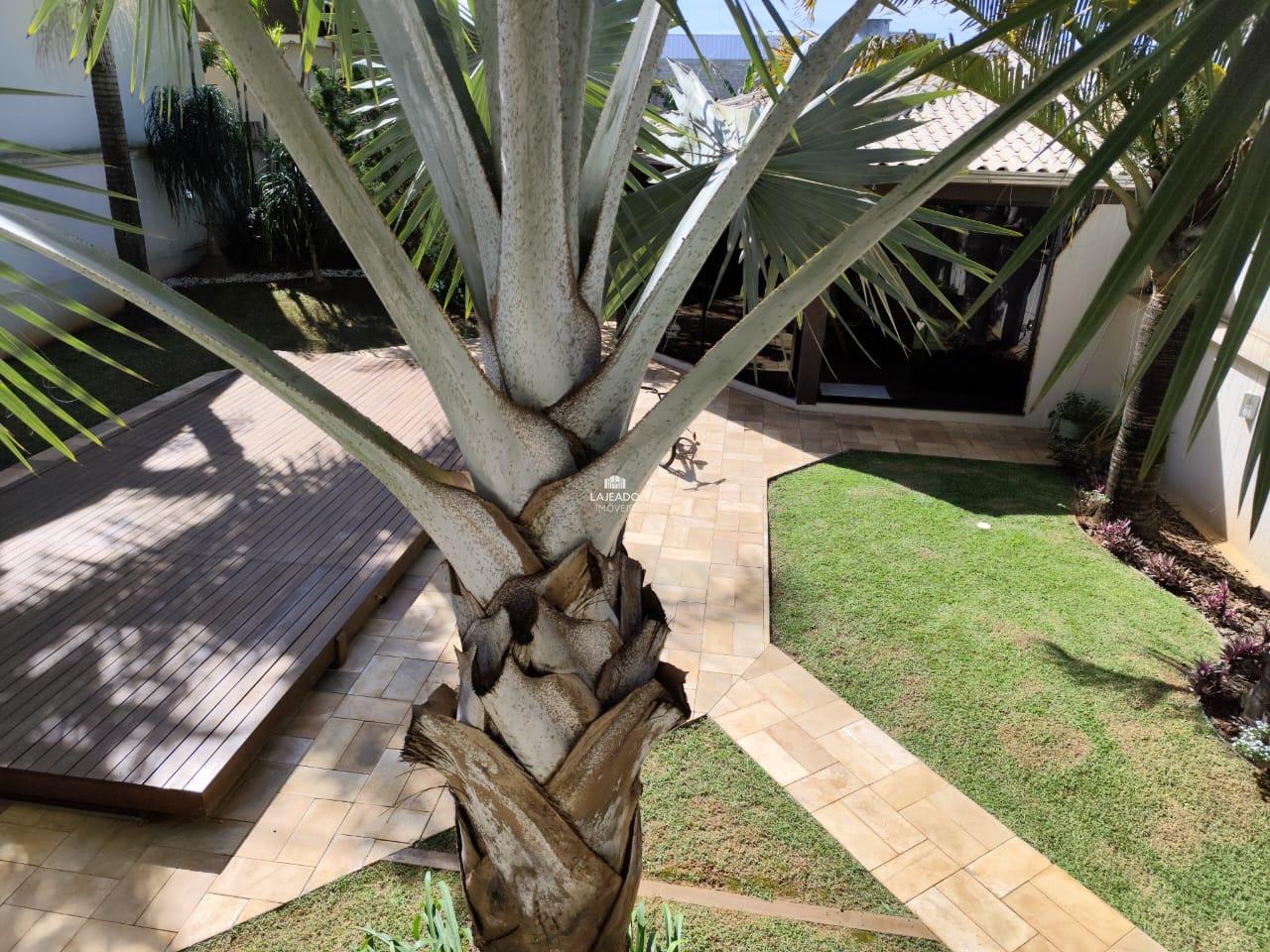 Casa à venda no Centenário: 