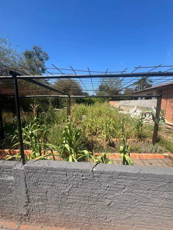 Terreno, 5000 m² - Foto 11