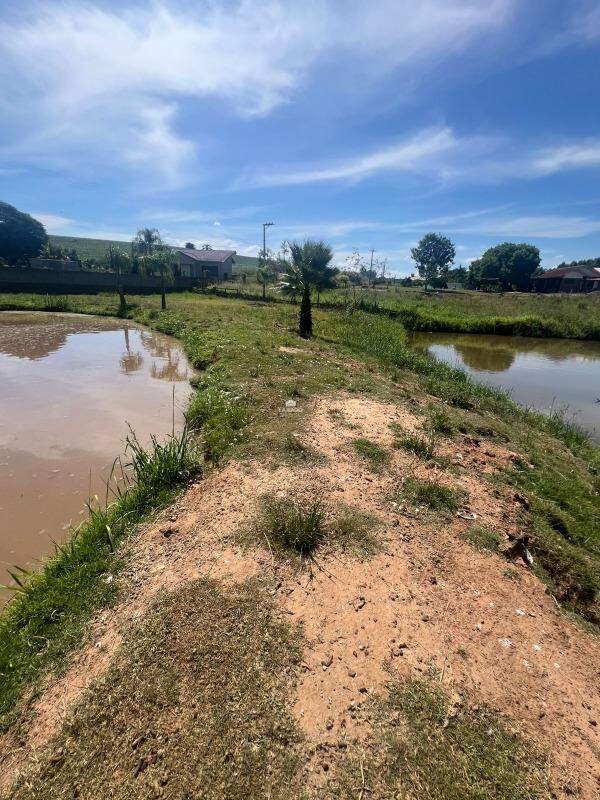 Terreno, 5000 m² - Foto 4