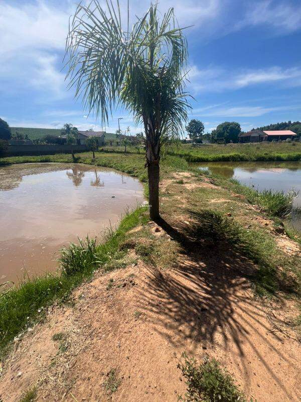 Terreno, 5000 m² - Foto 19