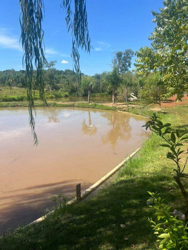 Terreno, 5000 m² - Foto 15