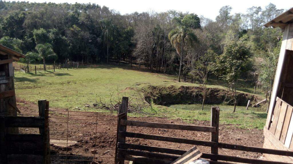 Fazenda à venda com 2 quartos, 100m² - Foto 7