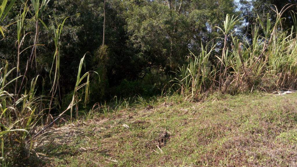 Fazenda à venda com 2 quartos, 100m² - Foto 13