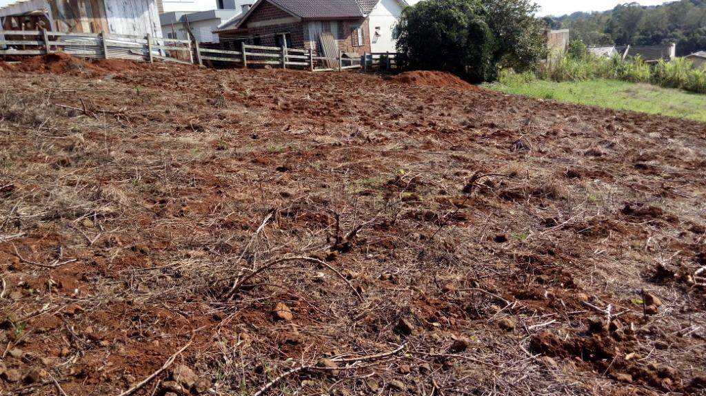 Fazenda à venda com 2 quartos, 100m² - Foto 15