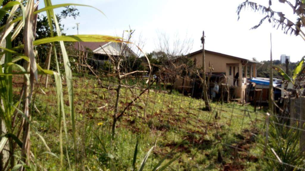 Fazenda à venda com 2 quartos, 100m² - Foto 11