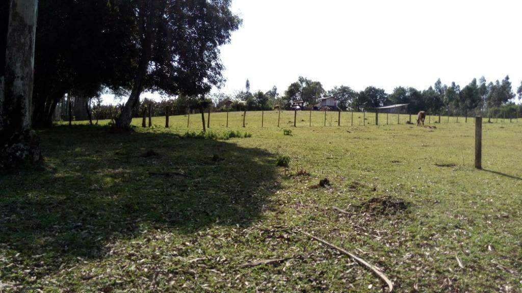 Fazenda à venda com 2 quartos, 100m² - Foto 20